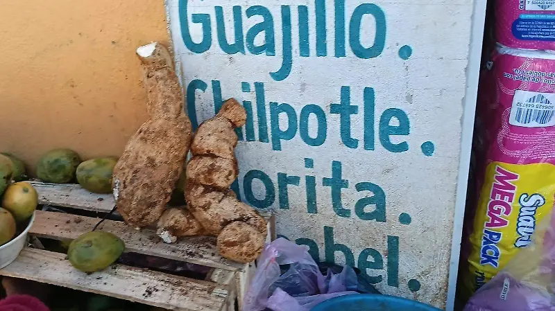 chayote